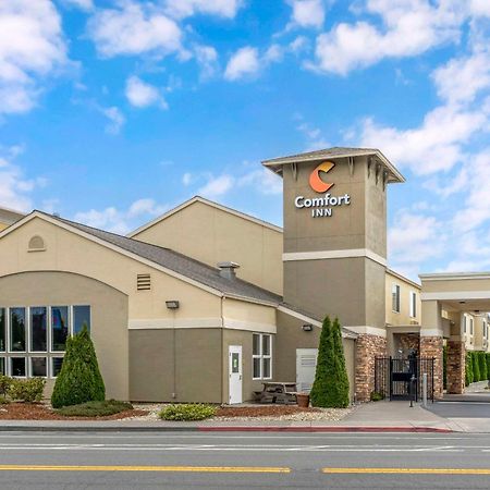 Comfort Inn Arcata Zewnętrze zdjęcie
